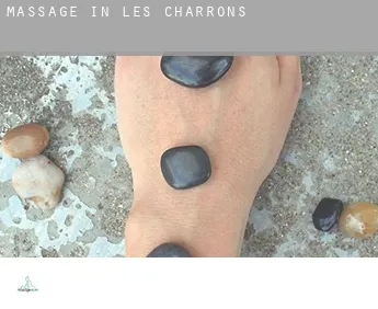 Massage in  Les Charrons