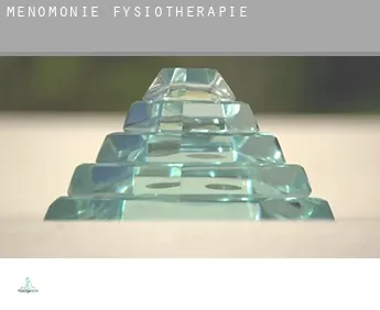 Menomonie  fysiotherapie