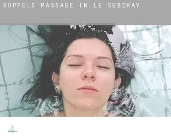 Koppels massage in  Le Subdray