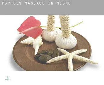 Koppels massage in  Migné