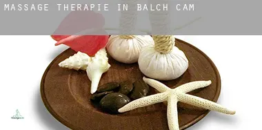 Massage therapie in Balch Camp