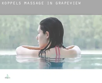 Koppels massage in  Grapeview