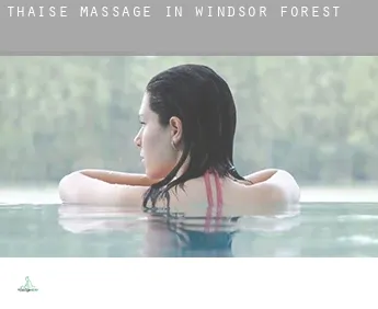 Thaise massage in  Windsor Forest