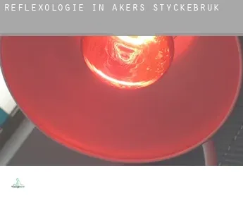 Reflexologie in  Åkers Styckebruk