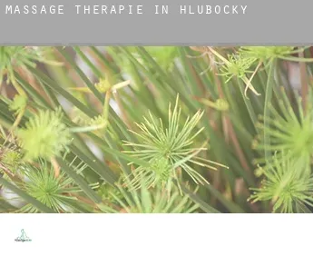 Massage therapie in  Hlubočky