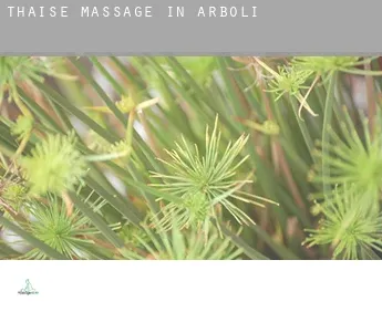 Thaise massage in  Arbolí