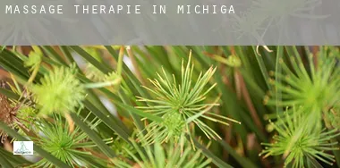 Massage therapie in  Michigan