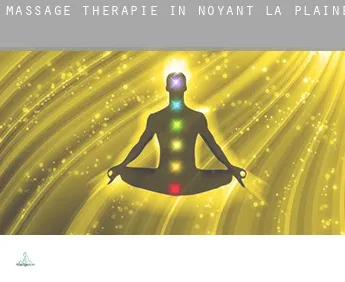 Massage therapie in  Noyant-la-Plaine