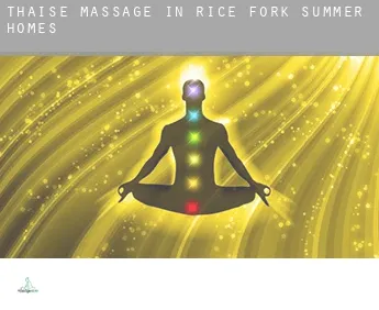 Thaise massage in  Rice Fork Summer Homes