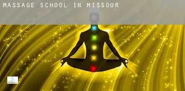 Massage school in  Missouri