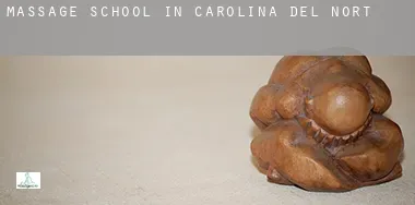 Massage school in  North Carolina