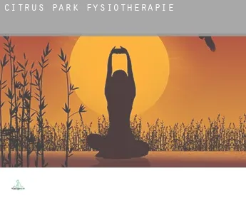 Citrus Park  fysiotherapie
