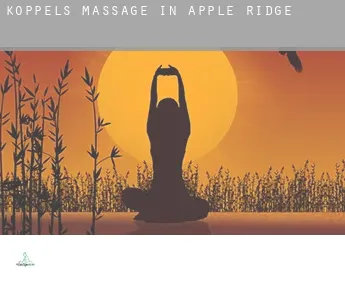 Koppels massage in  Apple Ridge