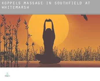 Koppels massage in  Southfield at Whitemarsh