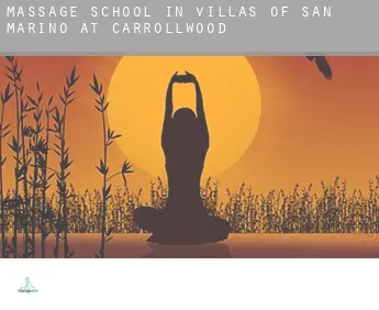 Massage school in  Villas of San Marino at Carrollwood