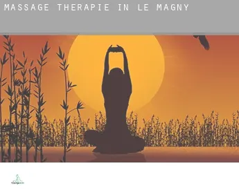 Massage therapie in  Le Magny