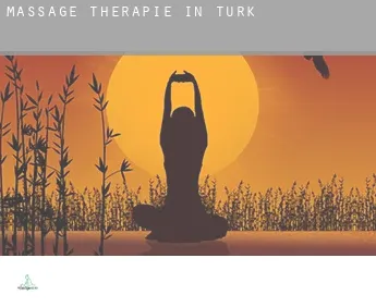 Massage therapie in  Turk