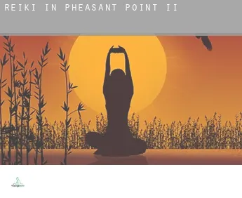 Reiki in  Pheasant Point II