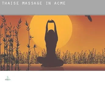 Thaise massage in  Acme