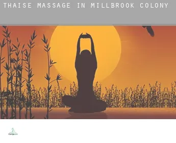 Thaise massage in  Millbrook Colony
