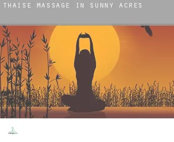 Thaise massage in  Sunny Acres