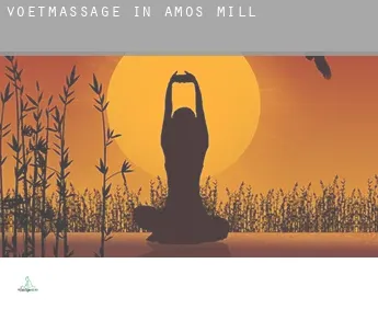 Voetmassage in  Amos Mill