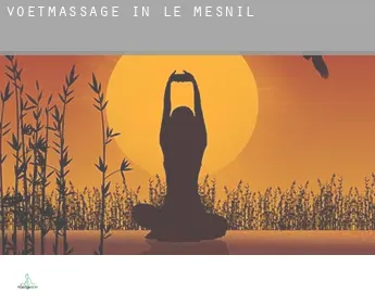 Voetmassage in  Le Mesnil