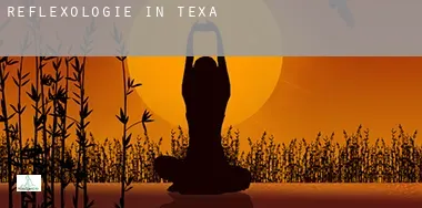 Reflexologie in Texas