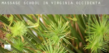 Massage school in West Virginia