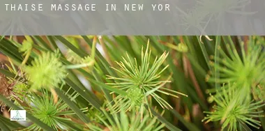 Thaise massage in  New York