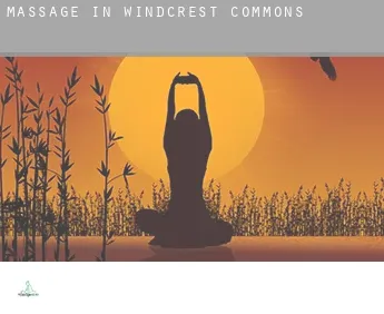 Massage in  Windcrest Commons
