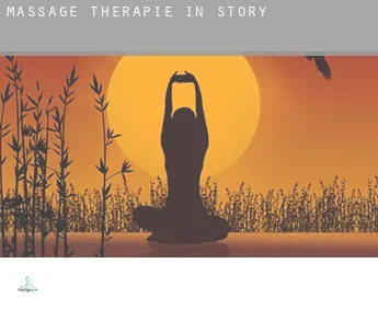 Massage therapie in  Story
