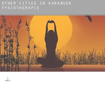 Other cities in Karabuek  fysiotherapie