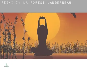 Reiki in  La Forest-Landerneau