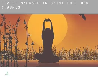 Thaise massage in  Saint-Loup-des-Chaumes