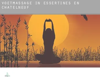 Voetmassage in  Essertines-en-Châtelneuf