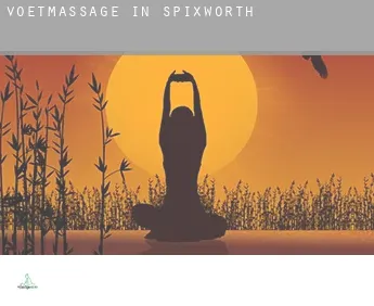 Voetmassage in Spixworth