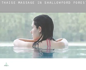Thaise massage in  Shallowford Forest