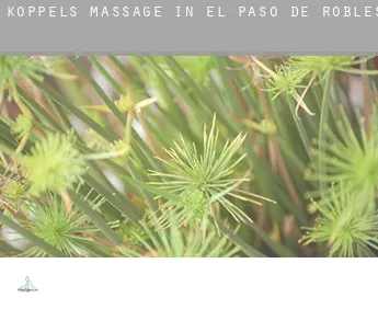 Koppels massage in  El Paso de Robles