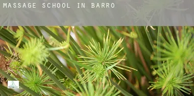 Massage school in Barro