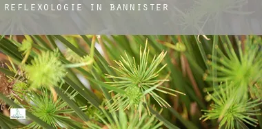 Reflexologie in Bannister