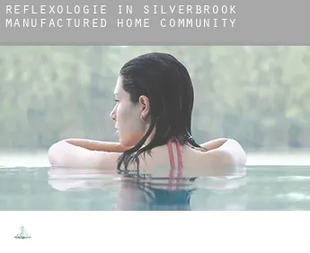 Reflexologie in  Silverbrook Manufactured Home Community