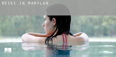Reiki in Maryland