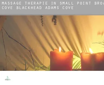 Massage therapie in  Small Point-Broad Cove-Blackhead-Adams Cove