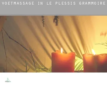 Voetmassage in  Le Plessis-Grammoire