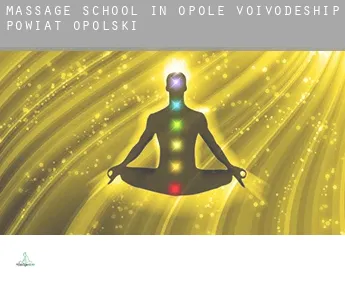 Massage school in  Powiat opolski (Opole Voivodeship)