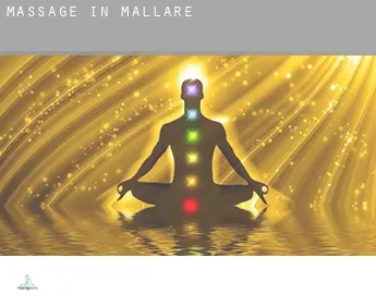 Massage in  Mallare
