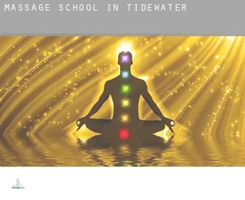 Massage school in  Tidewater