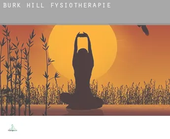 Burk Hill  fysiotherapie