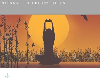 Massage in  Colony Hills